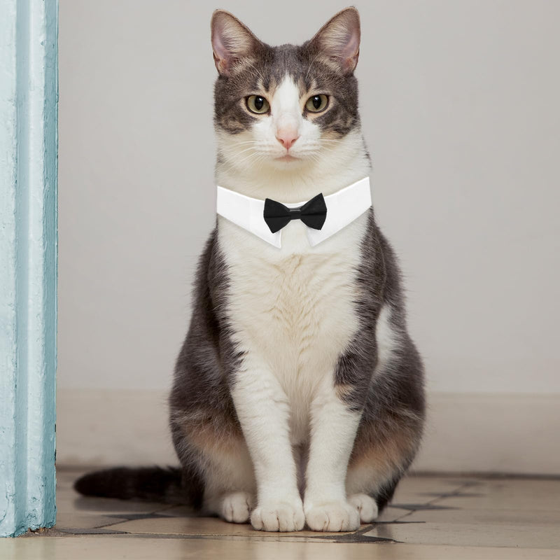 Black Bow Tie Cat Collar, Dog Cat Tuxedo Collar, Cat Wedding Bowtie, Adjustable Formal Collar Neck Tie, Formal Pet Cats Necktie for Cats, Small Dog Wedding, Birthday Gift - BeesActive Australia