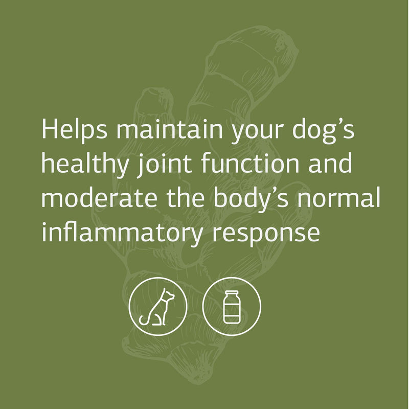 Standard Process Canine Flex Support - Joint & Immune Health Support Supplement for Dogs - Chewable Wafers for Healthy Joint Function Support - Nutritional Whole Food Supplement - 100 wafers - PawsPlanet Australia