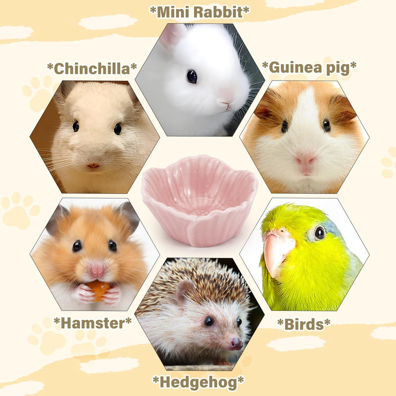 Small Ceramic Pet Hamster Bowl, Easy to Clean Anti Flipping Hamster Food and Water Bowl Feeding Bowl, Small Animal Bowls for Golden Bears, Rabbits, Hedgehogs, Dutch Pigs, Parrots (Pink, s) Pink - BeesActive Australia