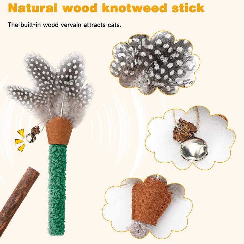 Feather Kitten Silvervine Sticks, 6 Pack Natural Cat Chew Toy with Rope for Teeth Cleaning, Dental Care, Appetite Stimulation and Stress Relief
