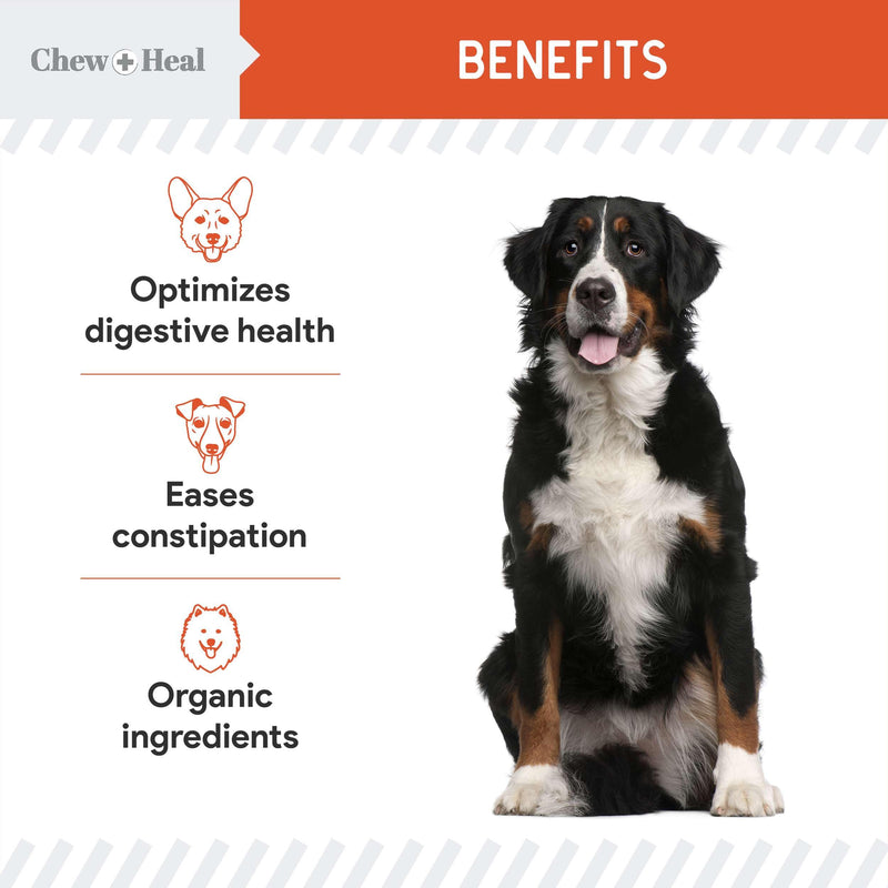 Organic Pumpkin Powder for Dogs - 4 oz of Pumpkin for Dog Digestion with 5cc Scoop - Made with Pumpkin, Apple, and Carrots - Made in The USA - BeesActive Australia