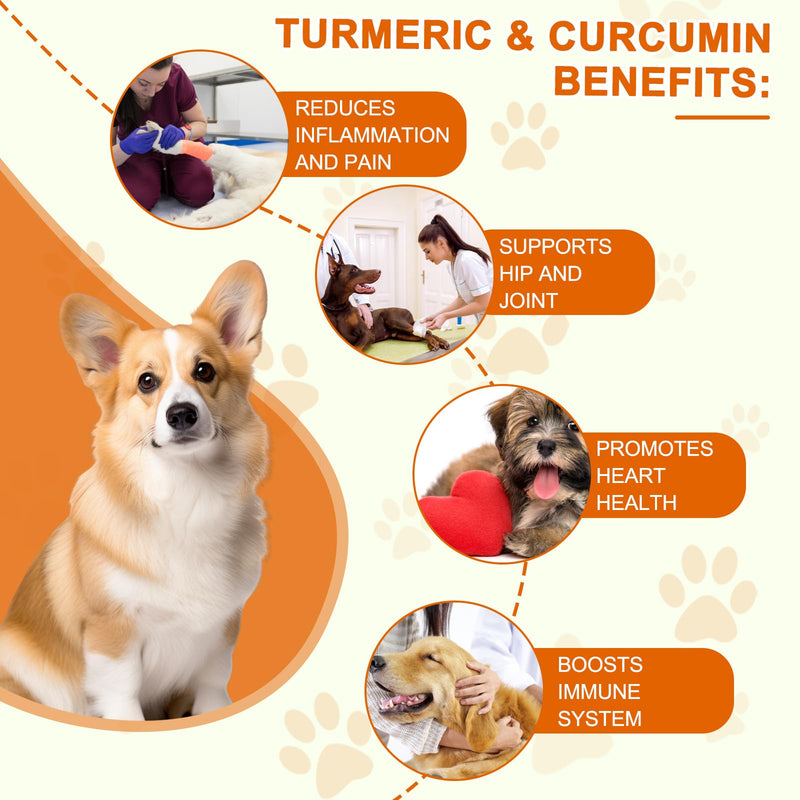 Turmeric for Dogs, 180 Turmeric Curcumin Tablets Supports Heart, Immune System Booster, Hip & Joint Support, Dog Pain Relief, Pet Supplement Treats w/Fish Oil, Curcumin C3-180 Tablets / 5.1 OZ - PawsPlanet Australia