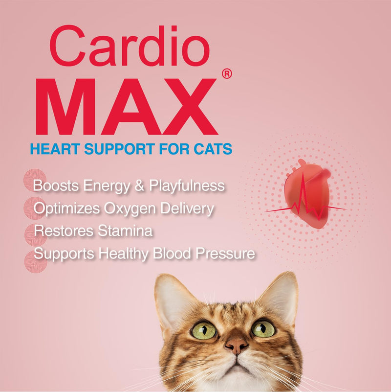 Heart Support Gel for Cats – L-Taurine, L-Carnitine, CoQ10 & Omega-3 (EPA & DHA) – Cardiovascular & Heart Muscle Support – Veterinarian Formulated Cat Cardiac Supplement – Tuna Flavor – 5 oz