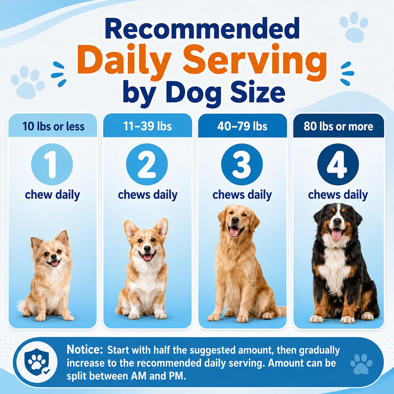 Calming Chews for Dogs, Dog Calming Treats with Melatonin, Stress & Anxiety Relief, Relaxation Aid for Travel, Vet Visits, Fireworks, Storms & Separation, Duck Flavor, 200 Soft Chews 200 Chews