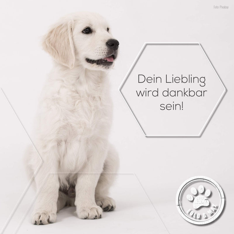 Lolo & Max - Flea & tick treatment for dogs 100% natural spot on - Up to 8 months defense and control of fleas & other parasites (ticks, mites, lice, hair lice, bedbugs) - 40ml - BeesActive Australia