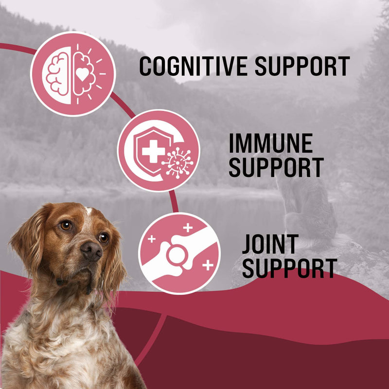 VetraHealth Omega-3 Complete Skin, Joint, Cognitive & Immune System Support for Dogs – Omega-3 Fish Oil, EPA & DHA – 60 Count (Small & Medium Dogs) Small & Medium Dogs - PawsPlanet Australia