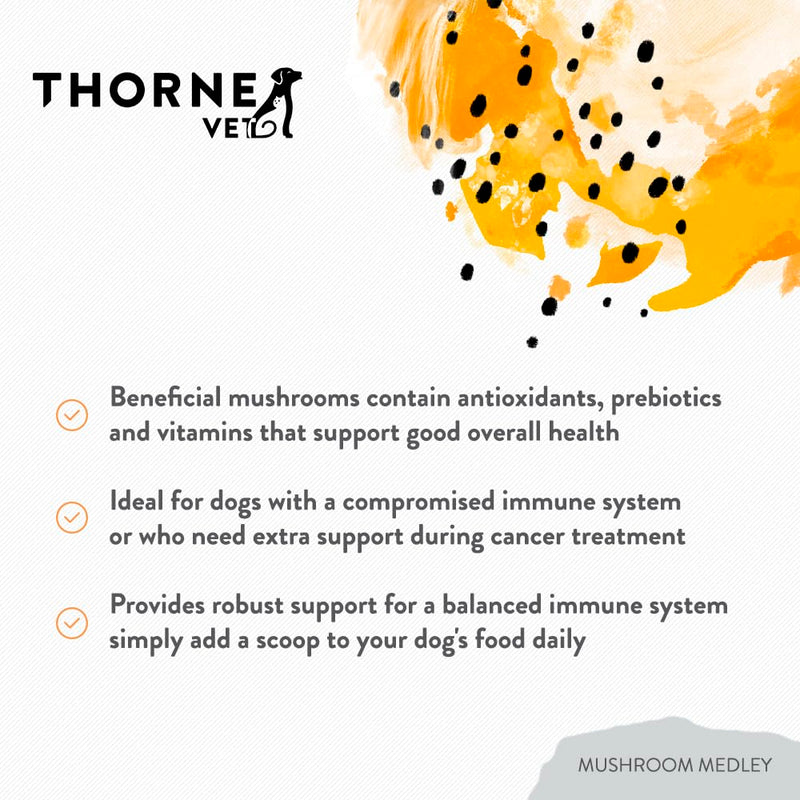 ThorneVet Mushroom Medley for Dogs - Immune System Support Plus Antioxidants - with Reishi, Turkey Tail, Cordyceps, Maitake, and Chaga Mushrooms - Support for Dogs Having Cancer Treatment - 120 Scoops - PawsPlanet Australia