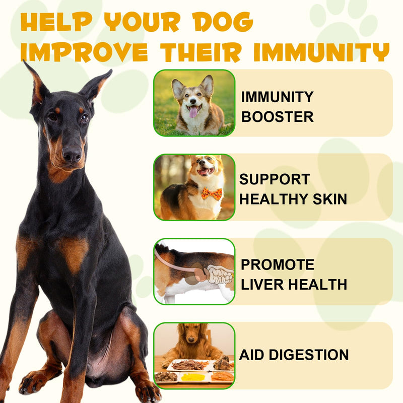 Oimmal Dog Allergy Support Drops, Natural Herbal Supplement for Dogs, Supports Skin & Coat, Gut Health & Normal Immune Function, Liquid Pet Supplement with Antioxidants, Bacon Flavor, 60ml / 2 fl oz