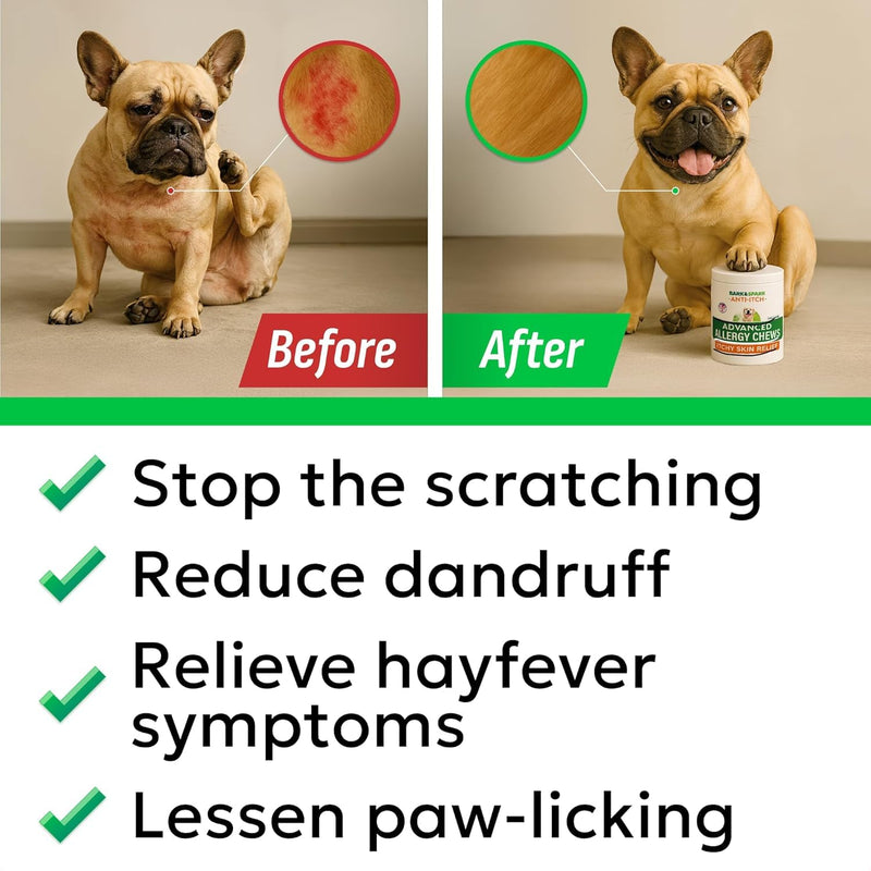 BARK&SPARK Dog Itch & Allergy Support Chews - Skin & Coat Supplement - Omega 3 Fish Oil -Itching & Paw Licking - Dry Skin & Hot Spots - 60ct - Grilled Pork