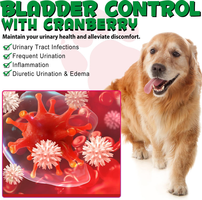 Urinary Tract Infection Treatment for Dogs, Dog Urinary Tract Support Drops, Natural UTI Treatment Supplement, Support Healthy Bladder & Kidney with Cranberries Bacon for Dogs