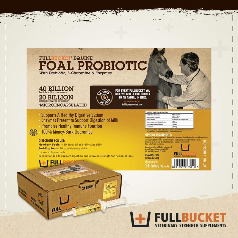 Foal Probiotic Paste (Single) One Size - BeesActive Australia