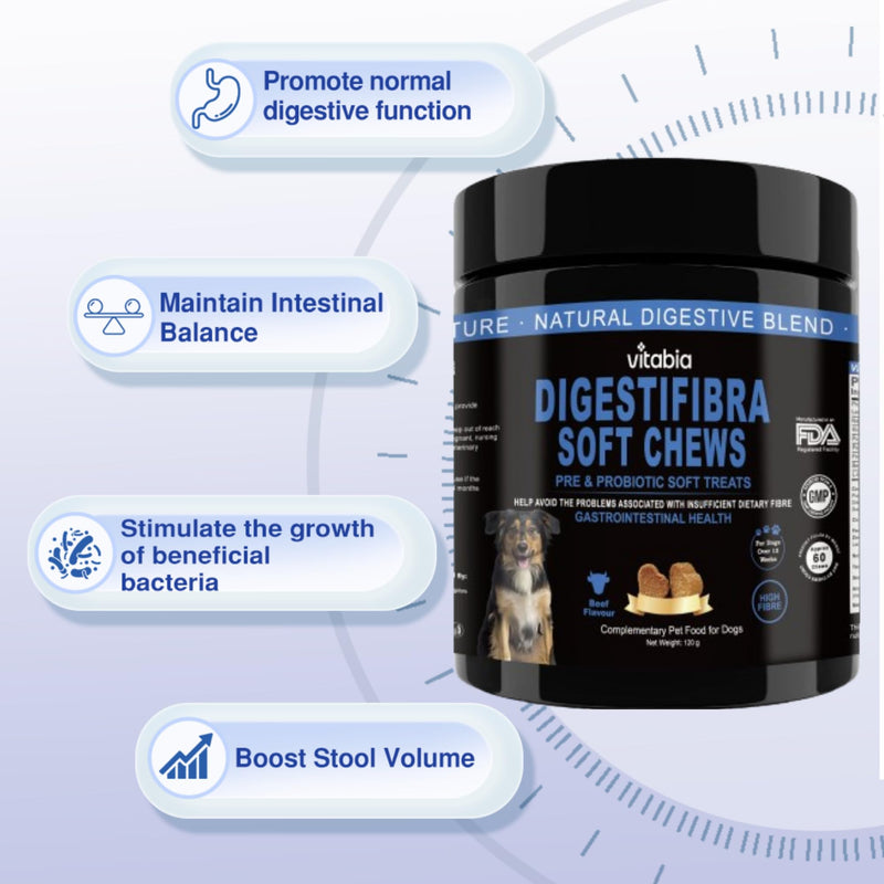 DigestiFibra Chews for Dogs - Probiotic & Prebiotic Soft Treats for Gut Health, Anal Gland Support, Digestion & Scooting Relief - 60 dog treats 60 Count