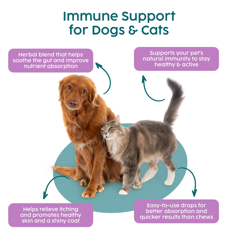 Immune Support for Cats & Dogs - Slippery Elm for Dogs Digestion, Dog Immune Booster, Itchy Dog Skin Relief, Veterinarian Herbal Supplement | 50ml