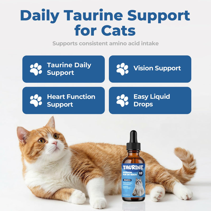 Taurine Supplement for Cats Drops - Daily Amino Acid Nutrition Liquid Drops for Heart & Vision Support, Easy Daily Taurine Supplement for Feline Diets, 60 ml 60 ml (Pack of 1)
