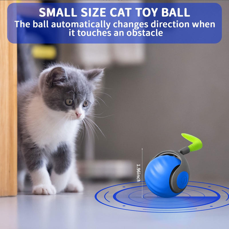 Interactive Cat Ball Toy with Feather, Speedy Tail 2.0 cat Toys, Smart Cat Toys Ball for Indoor Cats, Motion Activated Automatic Cat Toy Ball, USB Rechargeable Cat Toys, Blue - BeesActive Australia