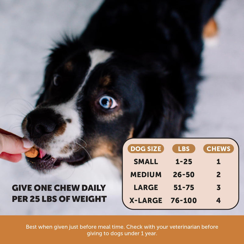 Flea & Tick Prevention + Dental Powder Virtual Bundle for Teeth Cleaning & Plaque Removal, Natural Flea & Tick Chews with No Harsh Chemicals