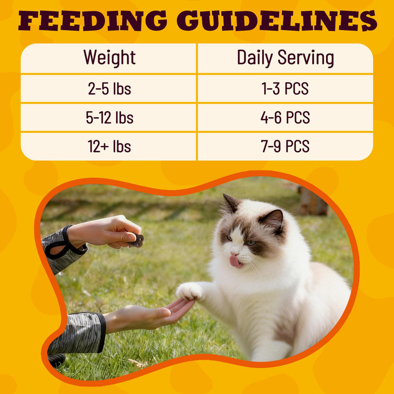 7.05 oz Soft Cat Dental Treats Cat Treats for Indoor Cats Chicken Flavor Pumpkin Added Cat Training Treats 7.05 Ounce (Pack of 1)
