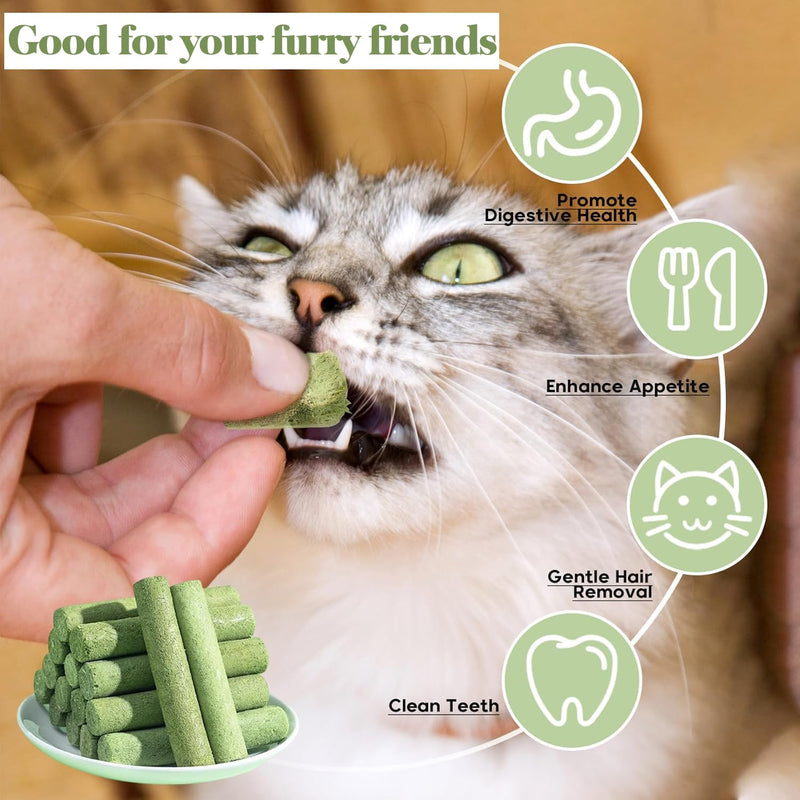 30g Cat Grass Sticks, Freeze Dried Cats Grass Teething Stick, Edible Cat Chew Toy for Teeth Cleaning Dental Health and Hairball Removal 30g
