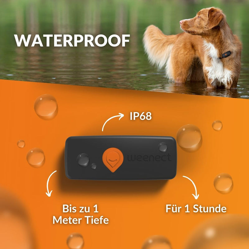 Weenect XS for dogs - NEW mini GPS tracker for dogs | Real-time GPS tracking | Smallest model on the market | Subscription | Waterproof Black (2023) - BeesActive Australia