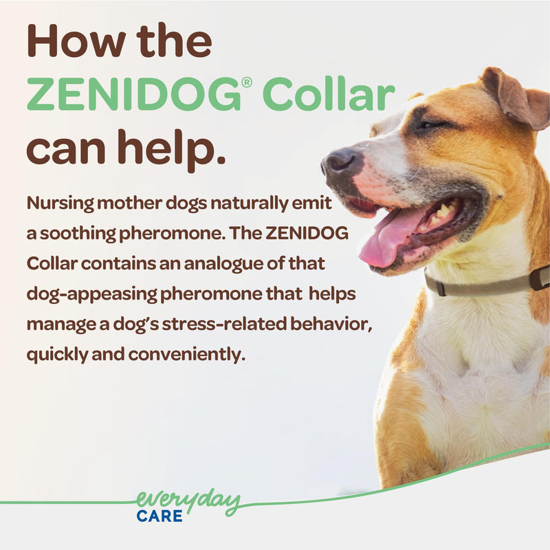 Dog Calming Collar with Pheromones - Zenidog Long-Acting Collar, Dog Calming Pheromone Collar, Long-Acting Pheromones for Dogs, Calming Collar, Dog Calming, Calming Collar for Dogs (Large Dogs) Large Dogs - PawsPlanet Australia