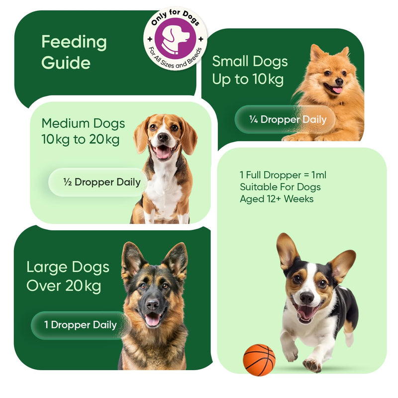 Hemp Oil for Dogs 60ml - Pure, Natural & Cold-Pressed - Dog Calming Products for Loud Noises, Car Rides & Home Alone Time - Rich in Omega 3, 6 & 9 - Dog Calming Drops for Skin, Coat, Bones & Joints
