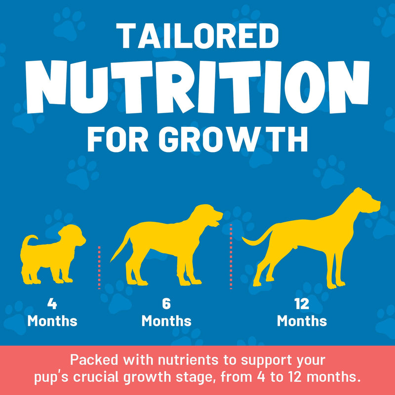 Guardian’s Choice VitaPup Puppy Vitamins Chews, Dog Vitamins for Growth, Digestion, Coat, Brain & Immune Support, Daily Multivitamin for Dogs with Omega 3, Biotin, & Calcium, 90 Tasty Soft Chews