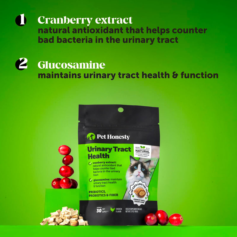 Cat Urinary Tract Health Dual Texture Chews - Promotes Healthy Digestion & Normal Bladder Function with Cranberry, Antioxidants, & Probiotics - Kidney + Bladder Support Supplement (30 Day Supply) Chicken 30 Day Supply - PawsPlanet Australia