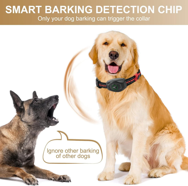 Dog Shock Collar - 2 in 1 Bark Collar with Remote, w/3 Remote Training Modes, Beep, Vibration 1300Ft Dog Training Collar for for Small Medium Large Dogs (DB4001B) DB4001B - BeesActive Australia