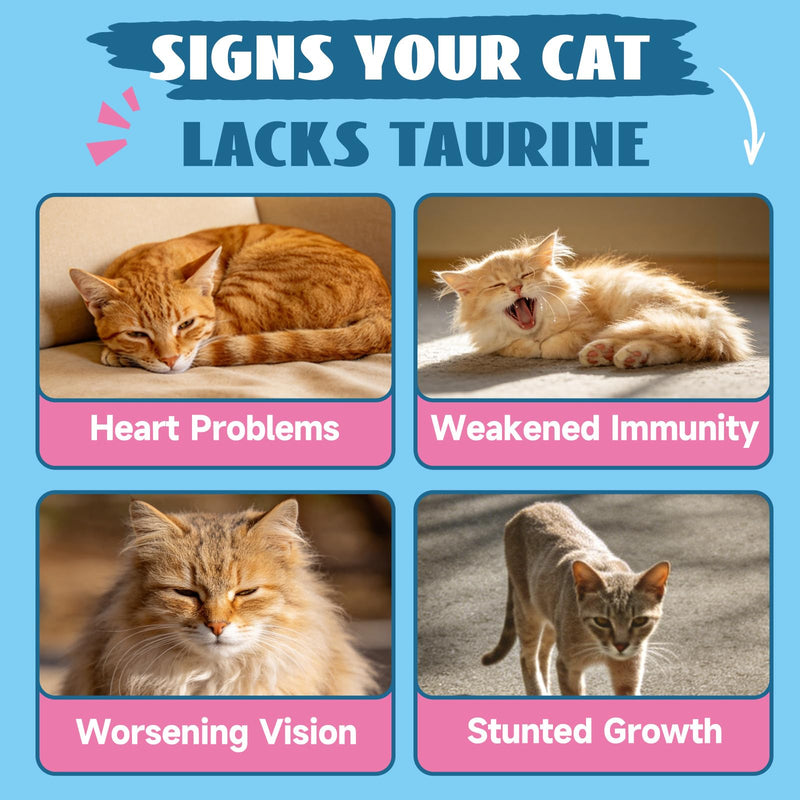 Taurine Drops for Cats - Liquid Cat Taurine Supplement, Supports Heart, Vision, Energy & Vitality, Immune System Health, with CoQ10, Omega-3, L-Carnitine, L-Arginine & Vitamins, 60ML
