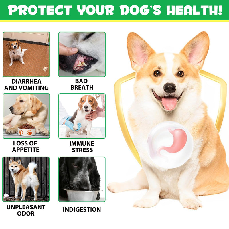 Dog Probiotics for Gut Health, Probiotics for Dogs, Canine Supplements for Digestive and Immunity Support, Gut Health,Yeast Balance, Dog Probiotic and Enzyme Tablets (180 Count)