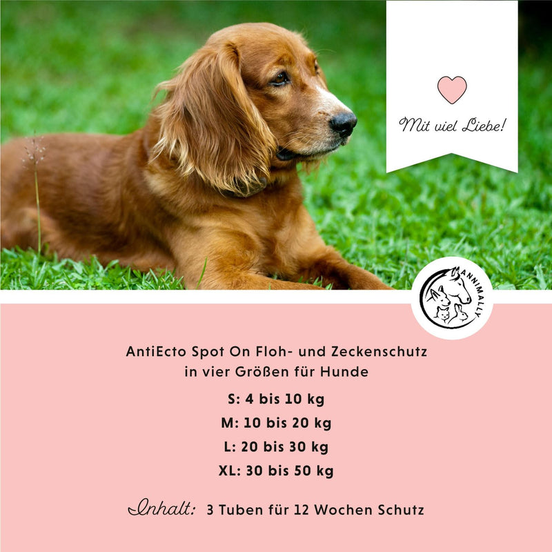 Annimally Flea and Tick Protection Spot ON for Dogs - Effective Tick Treatment for Dogs, 3 Months Long-Term Protection Flea Treatment & Tick Protection - (4-10kg) S: 4-10 kg - BeesActive Australia