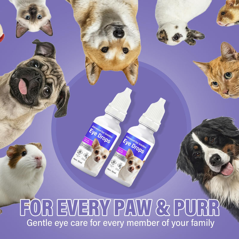 Dog Eye Drops, Premium Eye Drops for Dogs to Flush & Soothe, Advanced Dog Eye Wash for Daily Care & Tear Stain Prevention, Effective Dog Eye Infection Treatment, 10ml/2 Bottles 1Count(Pack of 1)
