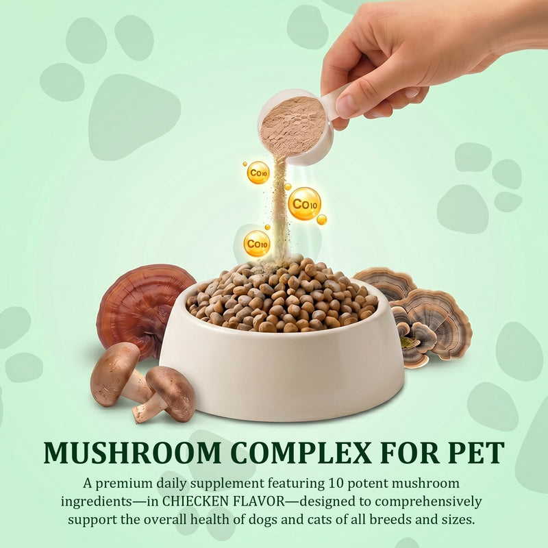 Organic Turkey Tail Mushroom Supplement for Senior Dogs & Cats – 10-in-1 Functional Mushroom Powder with CoQ10 for Immune Support, Digestive Health – Chicken Flavor, Scoop Included