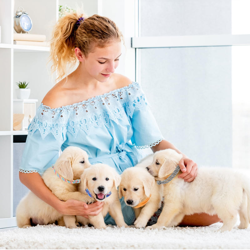 16Pcs Puppy ID Collars Whelping Soft Adjustable Bands, 16 Colors Puppy Collars Whelping Collars Bands Puppy Identification Collar for Newborn Pet Pup Collars for Dog Cat Rabbit Hamsters (Reusable) - BeesActive Australia
