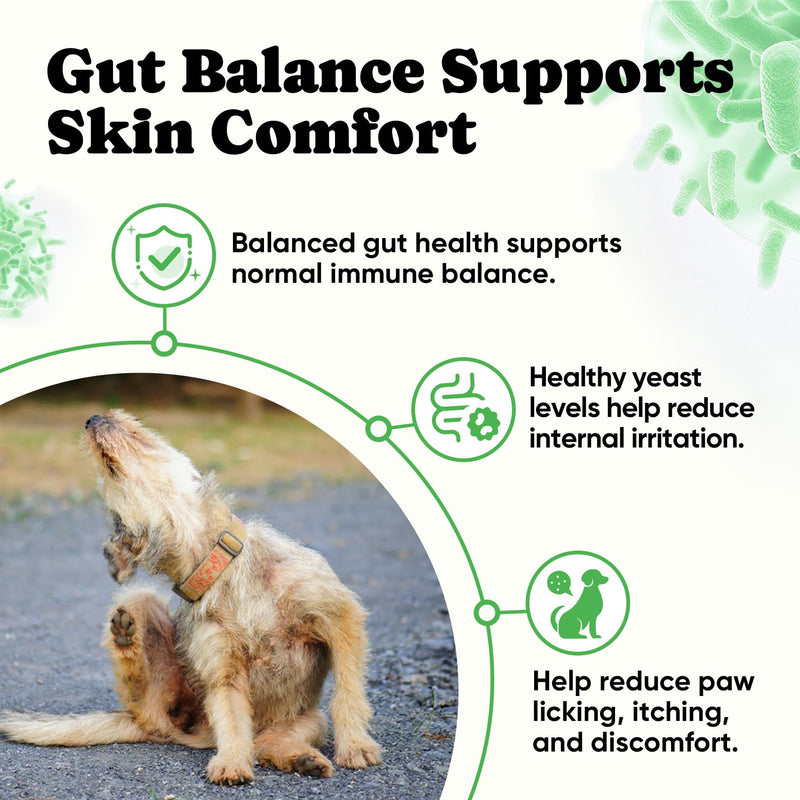 Probiotics for Dogs – Helps Digestion, Loose Stools, Gas & Sensitive Stomachs, Probiotics for Itchy Skin & Dog Yeast Infection, Immune & Fresher Breath with 4 Prebiotics & 5 Digestive Enzymes – 180 ct Chews-180 ct