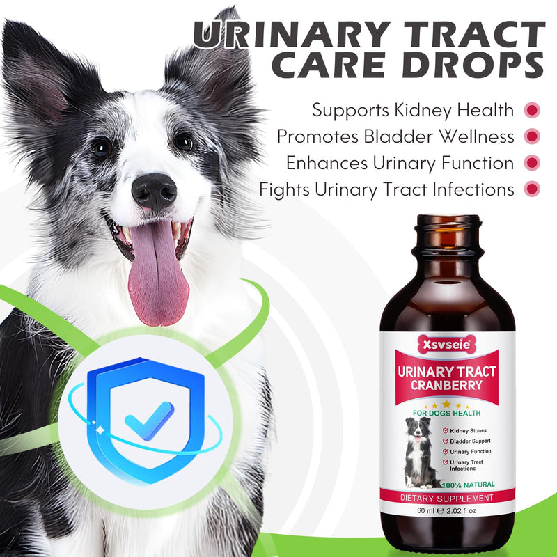 Urethral Therapy for Dogs, Dog Urinary Tract Infection Treatment Drops, Supports Bladder Supplement, Prevention Incontinence & Bladder Stones, Keep Pet Kidney Health & UTI Care - BeesActive Australia