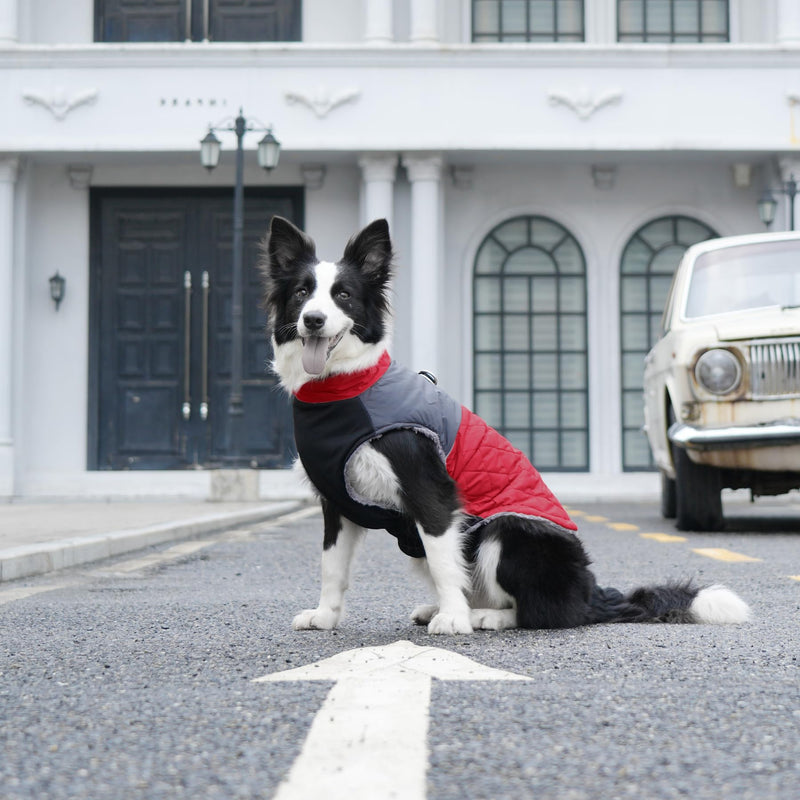 Warm Fleece Dog Coats for Small Dogs,D-Rings Waterproof Puppy Jacket for Cold Winter,Red M Medium (Pack of 1) Red - BeesActive Australia