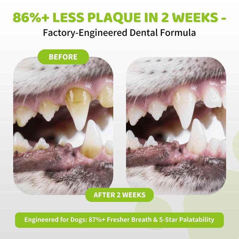 Dog Teeth Cleaning Powder for Dogs 200g- Enzymatic Plaque & Tartar Remover, Dog Dental Powder for Fresh Breath, 90 Day Supply for All Breeds