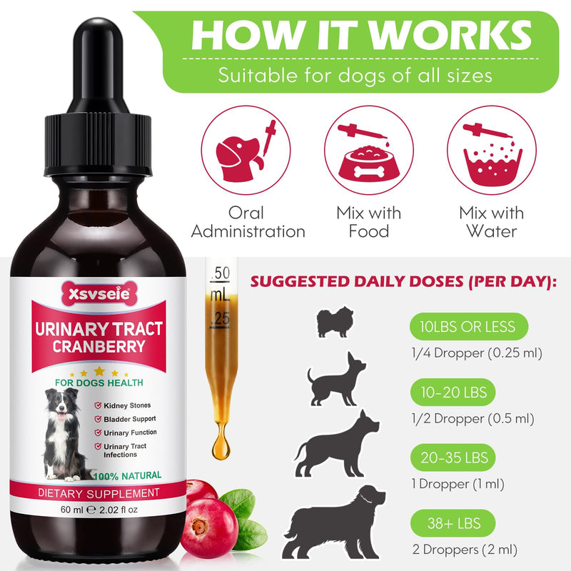 ZTSMSWY Dog Urinary Tract Infection Treatment, Dog UTI Treatment, Natural UTI Care Drops, Prevention Incontinence & Bladder Stones, Keep Pet Renal Health & UTI Care Drops 60ML - BeesActive Australia