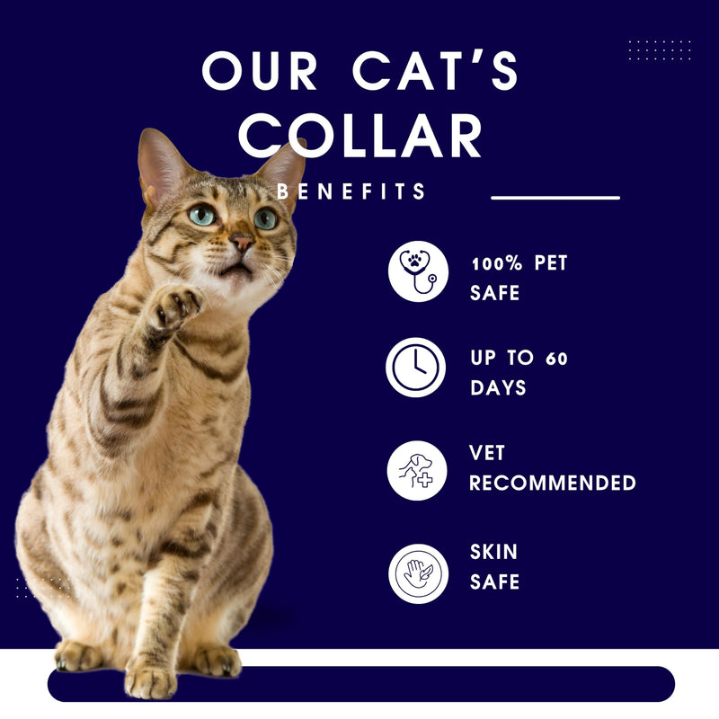 Calming Collar for Cats - Cat Calming Collar with Pheromones, Stop Cats from Urinating in House, Adjustable Fit, Drug-Free, Eco-Friendly, Vet-Recommended, Soft, Long-Lasting Anxiety Relief (Purple)