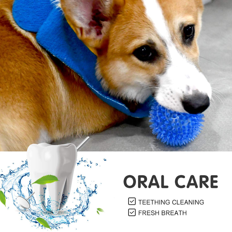 Squeaky Fetch Spike Balls TPR Toys for Pet Small Dogs Puppy Rubber 6 Pack Bright Colors Chew Teething Toys Small Set of 6 Multi - BeesActive Australia
