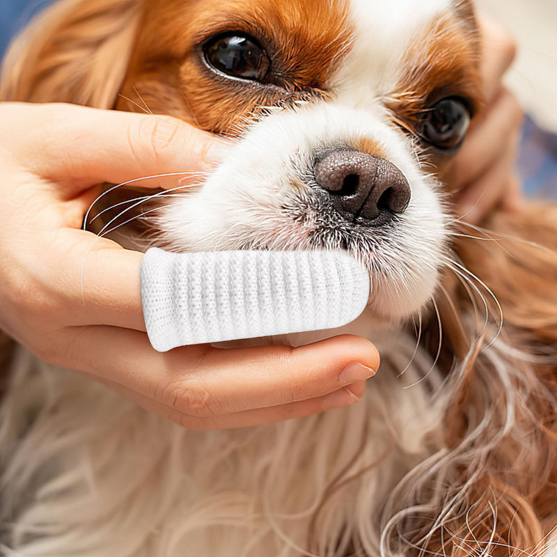 Pack of 16 dog toothbrushes, finger toothbrush dogs, dog toothbrush fingerling reusable, pet finger toothbrush for dogs cats dental care, teeth cleaning anti-plaque pet toothbrush - BeesActive Australia