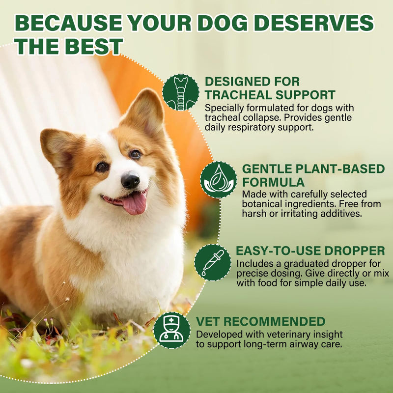 Dogs Tracheal Collapse Relief, Collapsed Trachea Treatment for Dogs, Helps Reduce Dry Cough & Support Easy Breathing, Natural Trachea Supplement, Chicken Flavor - 2 fl oz