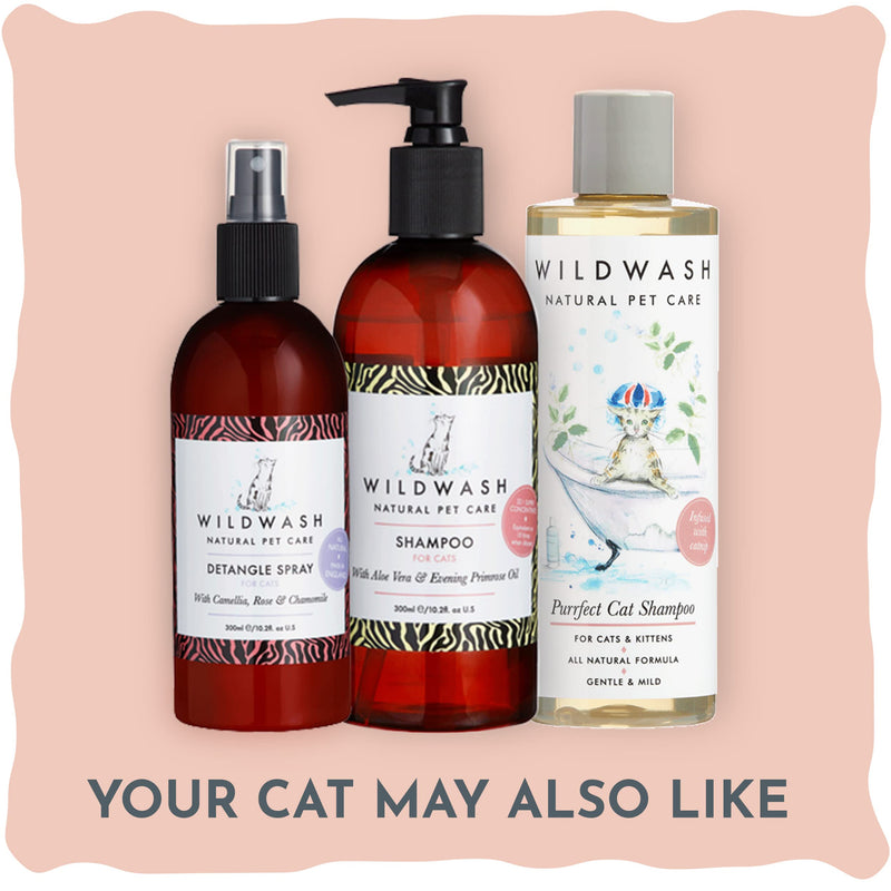 WildWash Gentle Ear Cleanser For Dogs 300ml - Dissolves Dirt and Earwax, Deodorises, Non Stinging Natural Antiseptic - Natural, Sulphate and Paraben-Free for Sensitive Skin