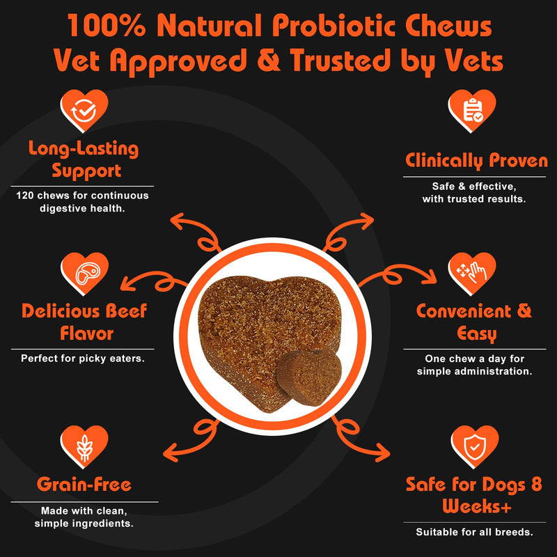Daily Probiotics for Dogs - 120 Beef Flavored Soft Chews with Natural Pumpkin Powder for Healthy Gut & Sensitive Tummy. Reduces Scooting, Loose Stools, Smelly, Itchy Ears for Small, Medium, Large Dogs