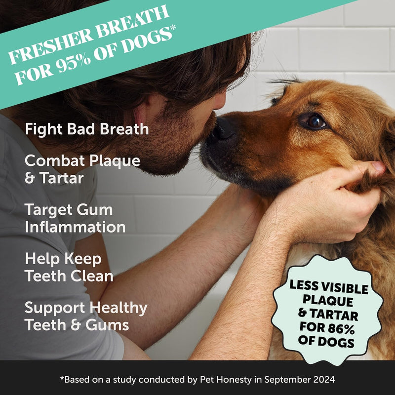 Pet Honesty Probiotics for Dogs + Dental Powder for Teeth Cleaning & Plaque Removal, Dog Probiotics for Gut Health, Diarrhea, Bowel Support & Itch Relief - PawsPlanet Australia