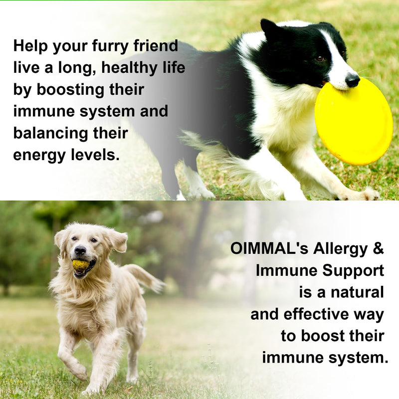 Oimmal Dog Allergy Support Drops, Natural Herbal Supplement for Dogs, Supports Skin & Coat, Gut Health & Normal Immune Function, Liquid Pet Supplement with Antioxidants, Bacon Flavor, 60ml / 2 fl oz