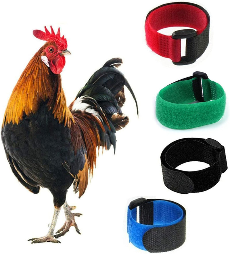 2Pcs Black Anti Crowing Collar Adjustable Rooster Cockerels Anti-Hook No Noise Nylon Neck Strap Pet Collar Anti Crow Rooster Collar Anti Crow Rooster Small Rooster Anti Rooster Basic Collars - BeesActive Australia