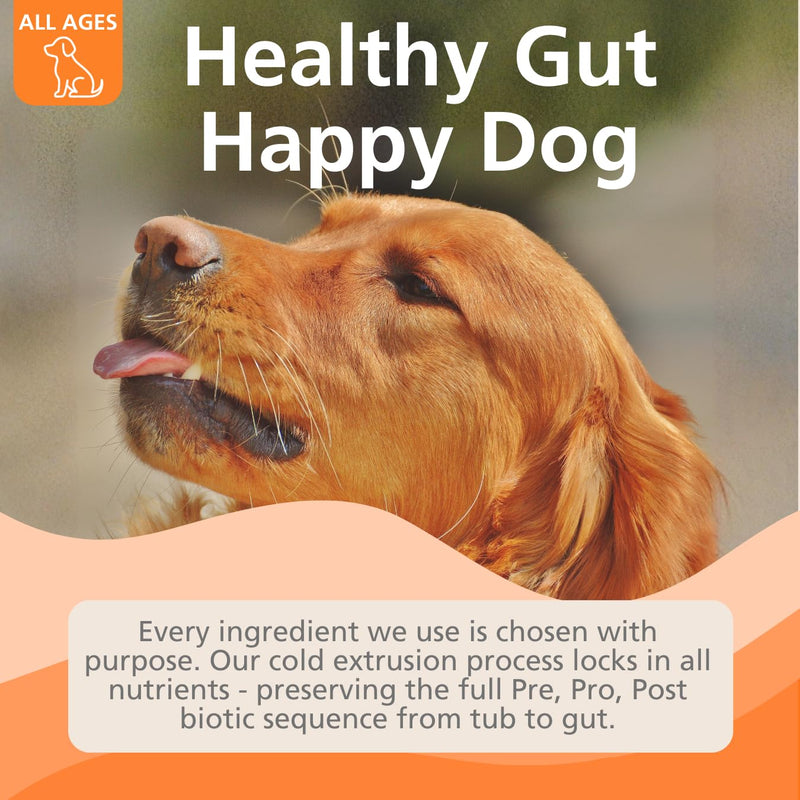 Leo's (120chews) Probiotic for Dogs chews | Natural Dog Probiotic Supplements | Pro Biotics for Gut Health Dog | Pre Pro and Post Biotic dog treats | Gut Health, Anal Glands, Grass-Eating, Itchy Ears