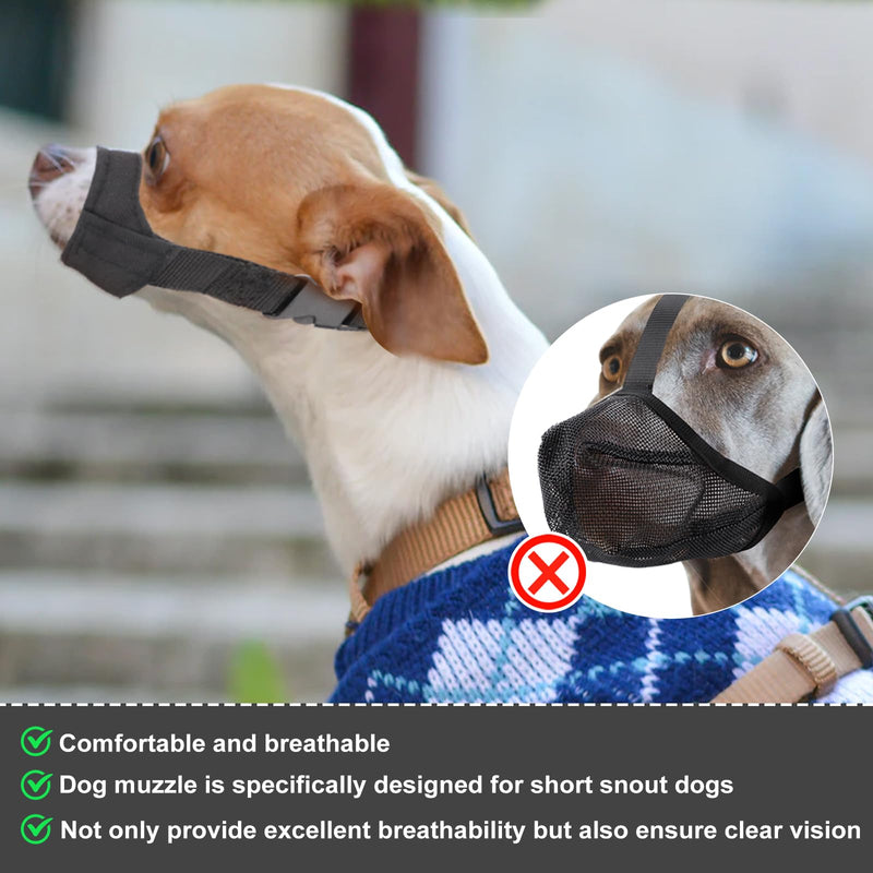 Muzzle for small and medium-sized dogs with short snouts, muzzle against biting, dog muzzle for Chihuahua Shih Tzu, snout circumference 8.9-10.8cm 8.9-10.8cm - BeesActive Australia